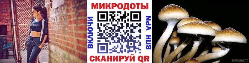 где купить наркоту  Коммунар  Галлюциногенные грибы MAGIC MUSHROOMS 