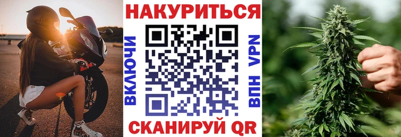 Бошки Шишки гибрид Коммунар